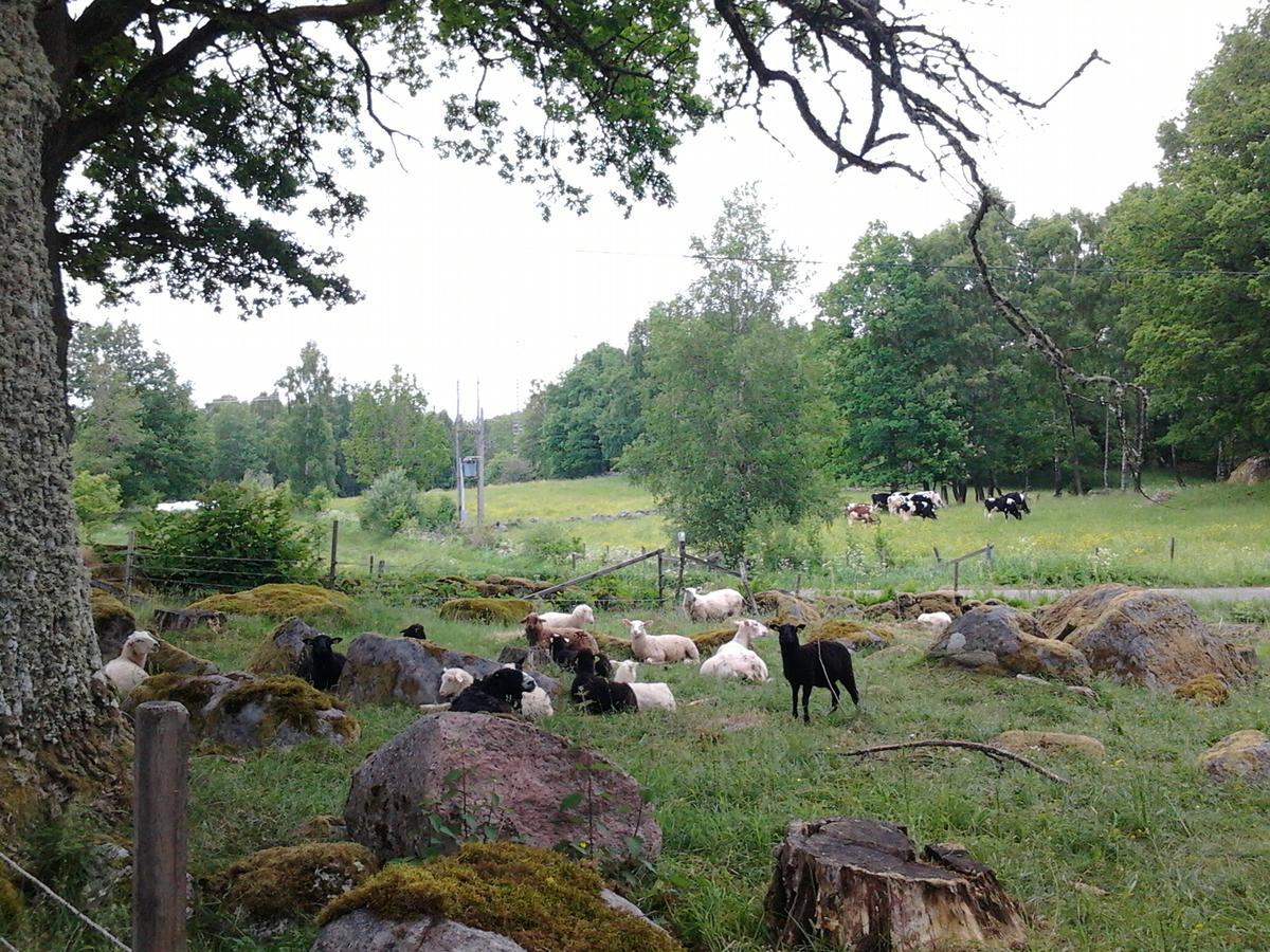 Bitterna Akatorp Villa Eksteriør bilde